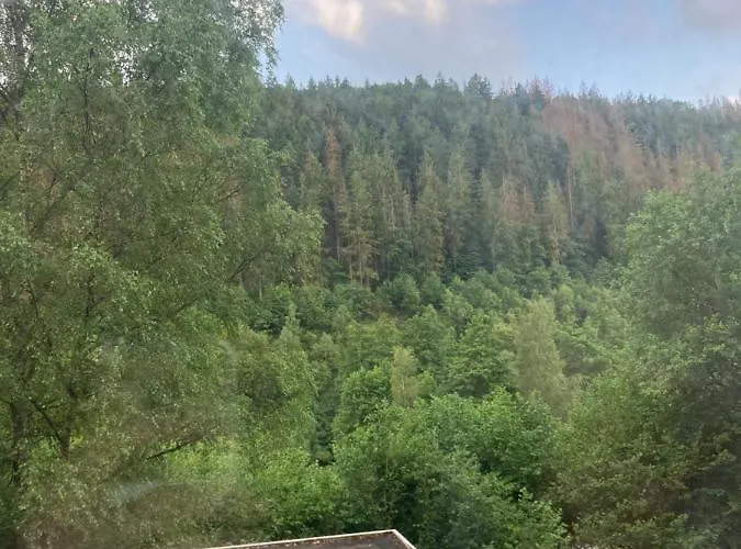 Apartament Waldblick *